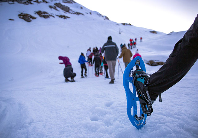 terapia_bosco_montagna_05.jpg